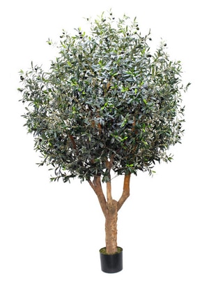 Árbol Olivo 240 cm con maceta Árbol Olivo 240 cm con maceta