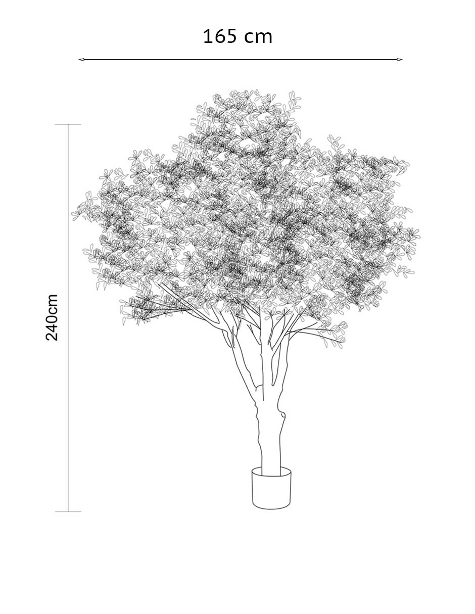 Árbol Olivo 240 cm con maceta 7