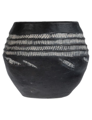Maceta dupuis asia