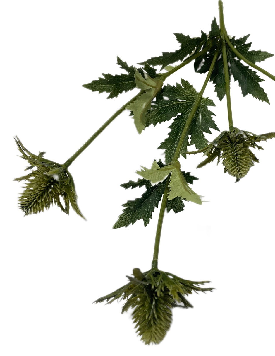 Rama decorativa