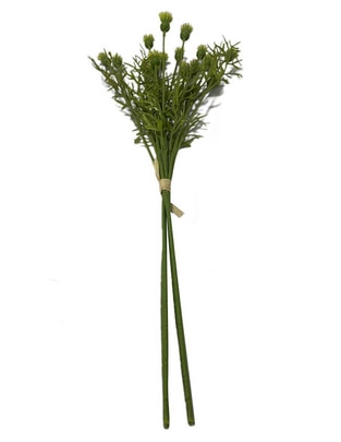 Rama decorativa