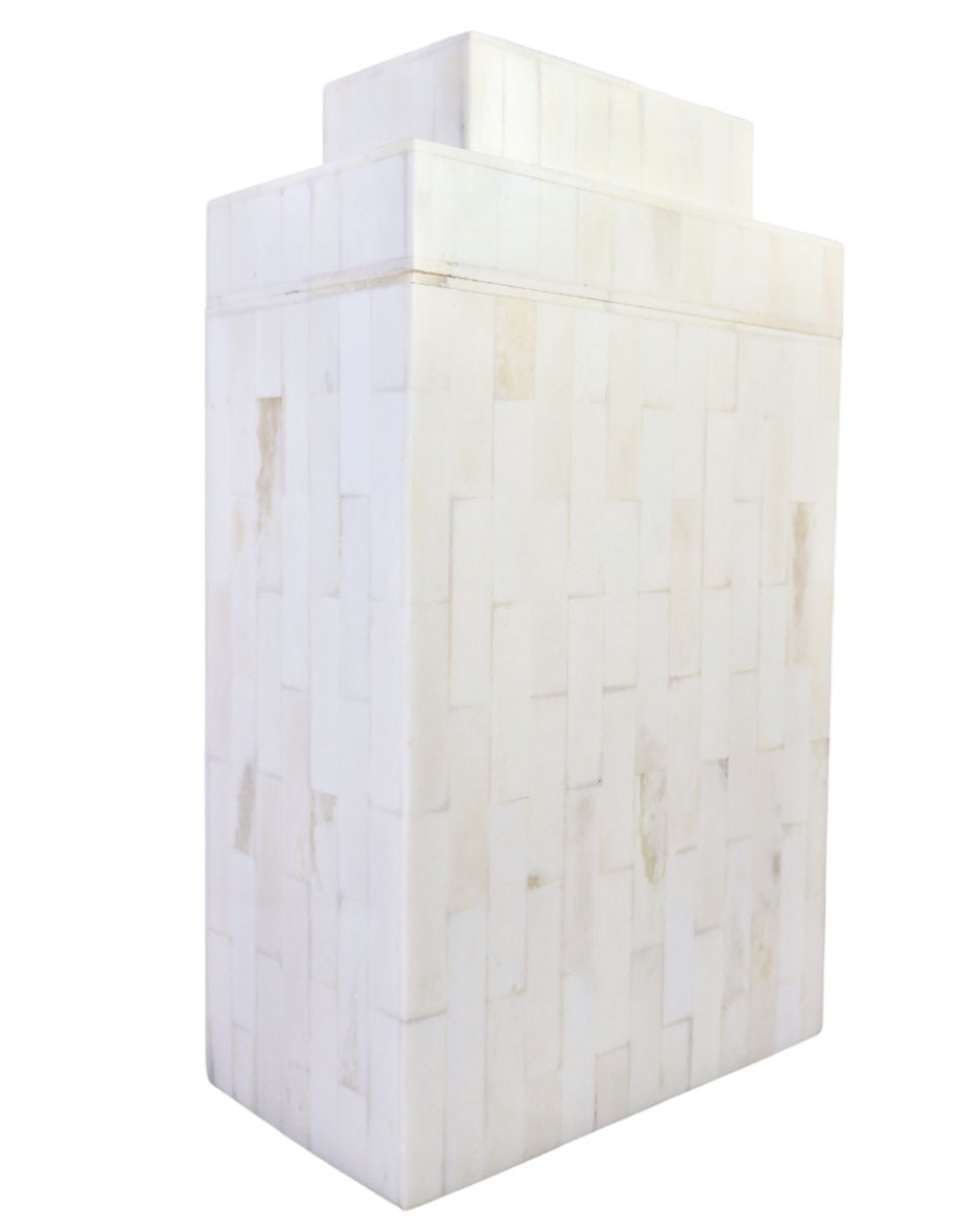 Accesorio decorativo Hueso 2